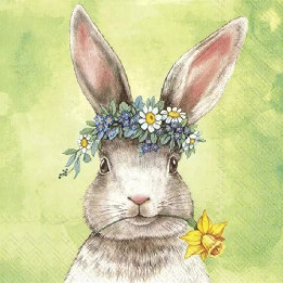 Servilletas 33x33 cm - EASTERFRIENDS BUNNY green
