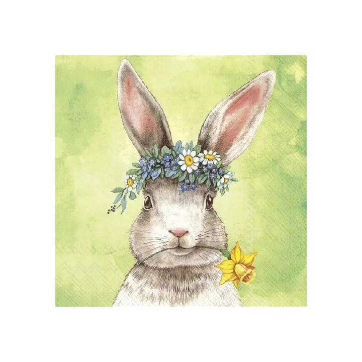 Servilletas 33x33 cm - EASTERFRIENDS BUNNY green