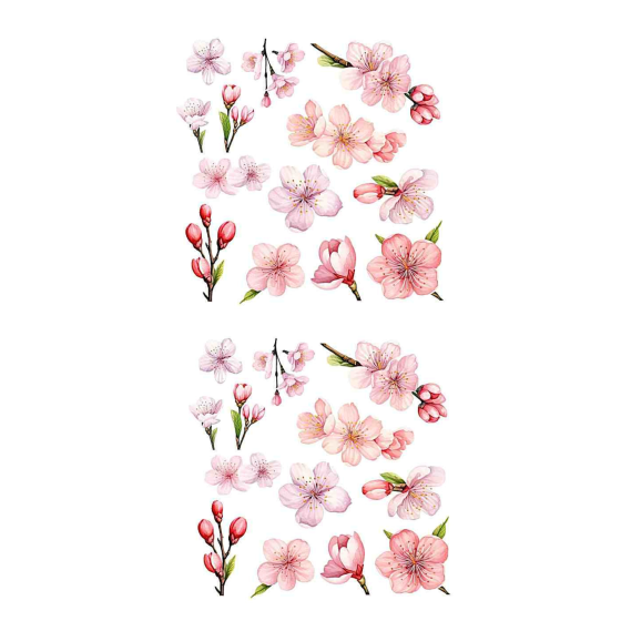 copy of 