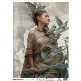 Paper d’arròs Soft A3 30x41cm SPA5620