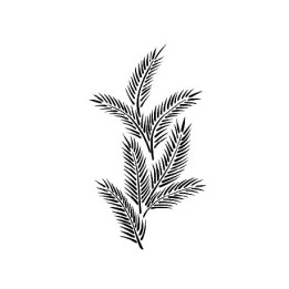 Stencil VEGETAL BN175 Cadence