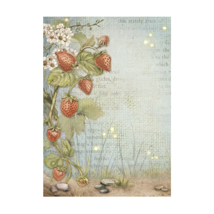 Kit 8 Papeles arroz A-6 backgrounds Hidden Grove Stamperia