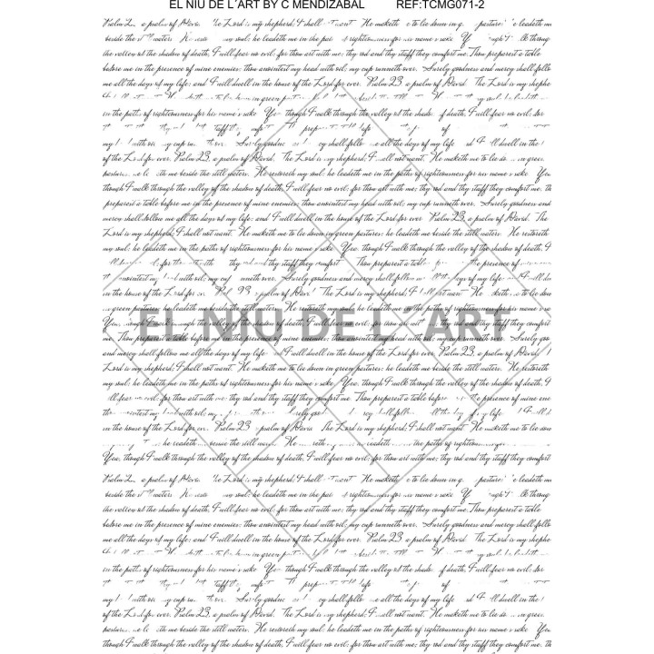 copy of transfer