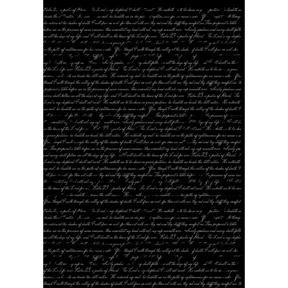 Transfer DTF Mediano BLANCO. 071*