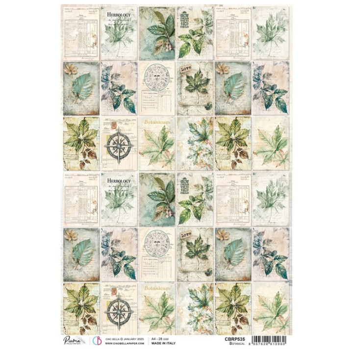 Rice Paper A4 Botanical