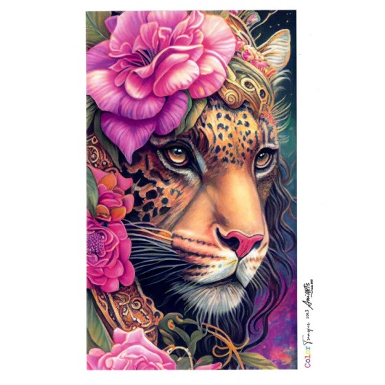 COLOR TRANSFER Ani Arts...