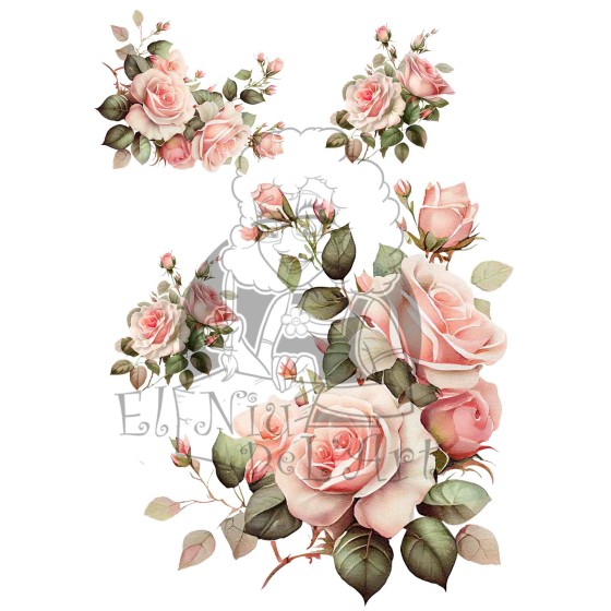 Transfer DTF EL NIU DE...