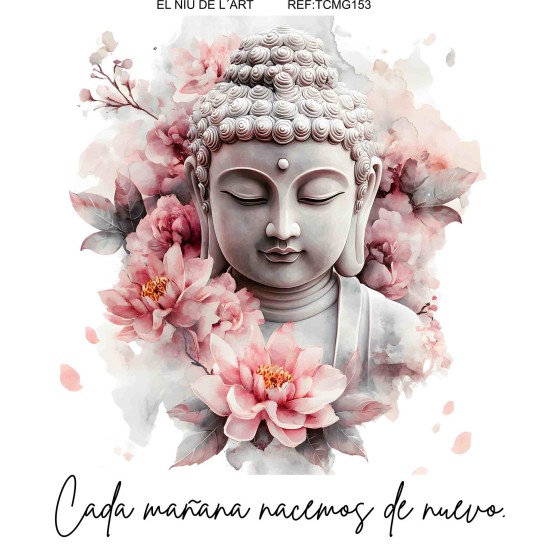 Transfer DTF EL NIU DE...