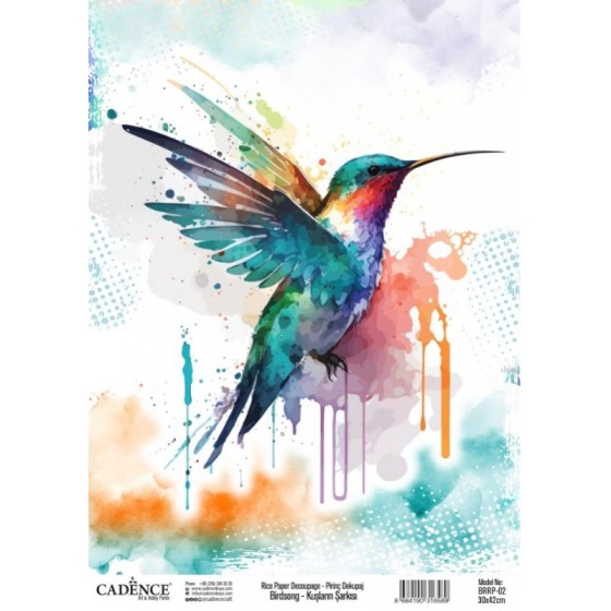 Papel Arroz 30x42cm CADENCE...