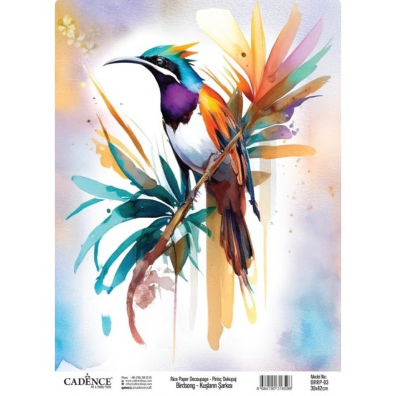 Papel Arroz 30x42cm CADENCE...