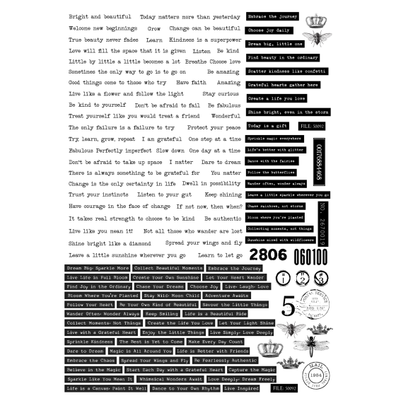 copy of transfer