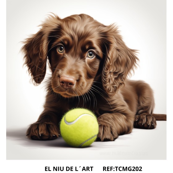 Transfer DTF EL NIU DE L´ART 202