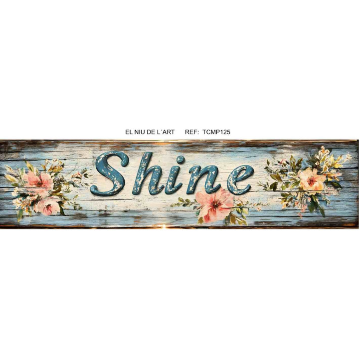Transfer Shine DTF