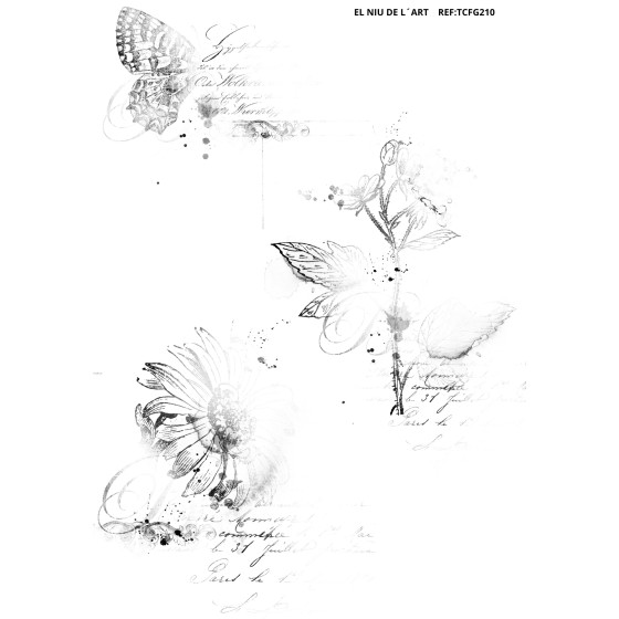 Transfer DTF EL NIU DE L´ART 210