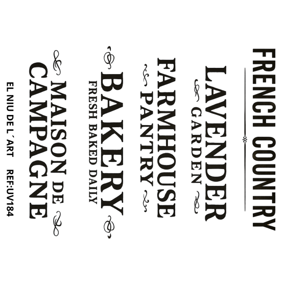 copy of transfer