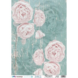 Papel De Arroz SOFT A3 BODA 5