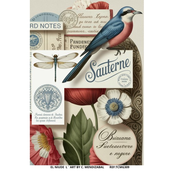 Transfer DTF EL NIU DE L´ART 309