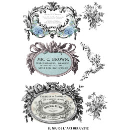 copy of transfer