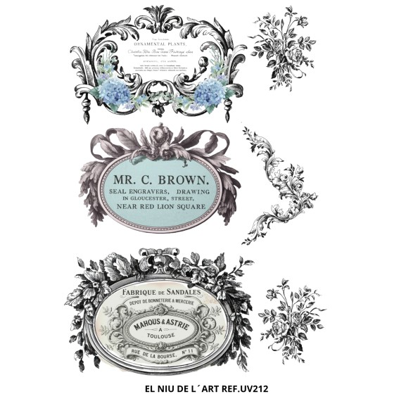 copy of 