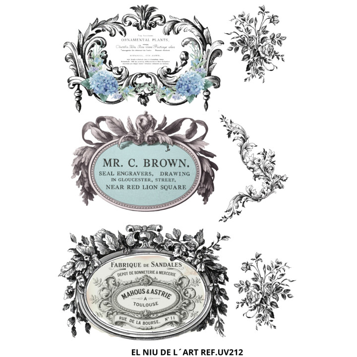 copy of transfer