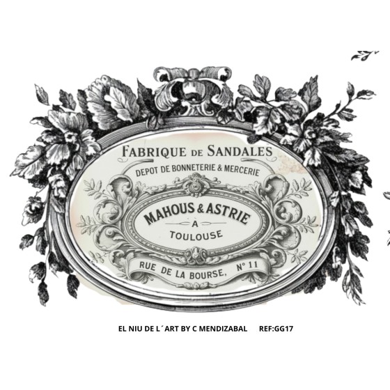 copy of transfer