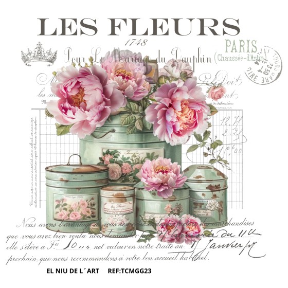 Transfer DTF EL NIU DE L´ART GG23