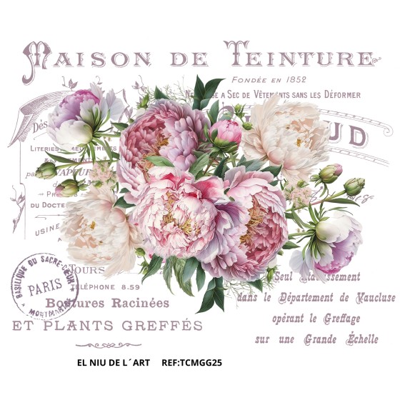 Transfer DTF EL NIU DE L´ART GG25