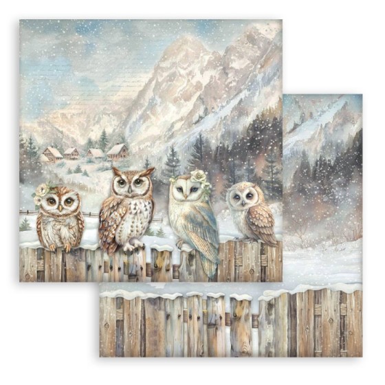Colección Scrap Stamperia 20.3x20.3 The Owl's House