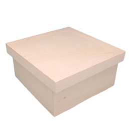 Caja grande con 4 separadores