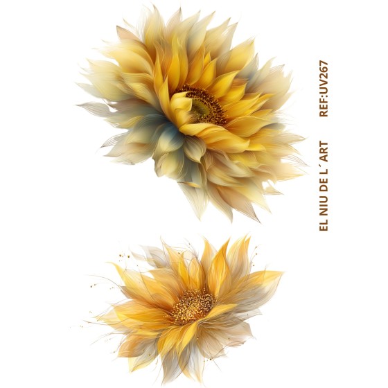 Transfer Color UV267