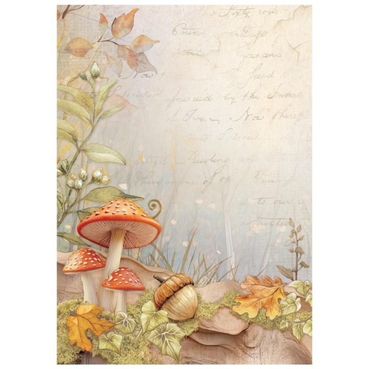 Papel arroz 4442 A4 Mannequin - Stamperia