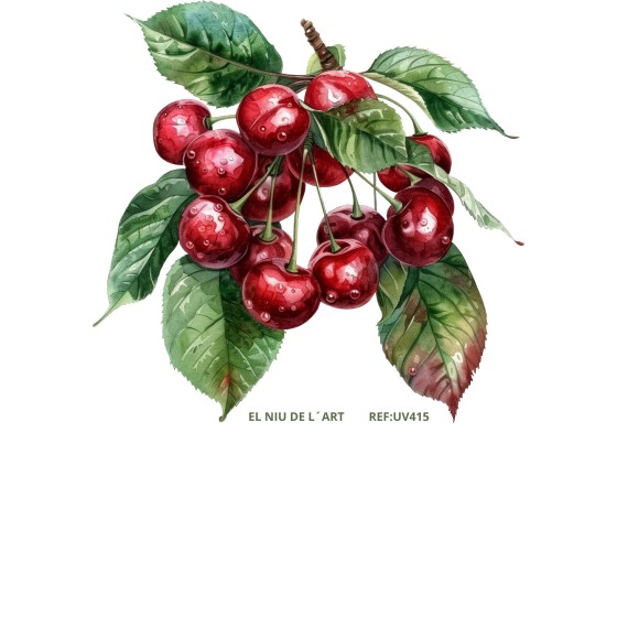 Transfer Color UV415