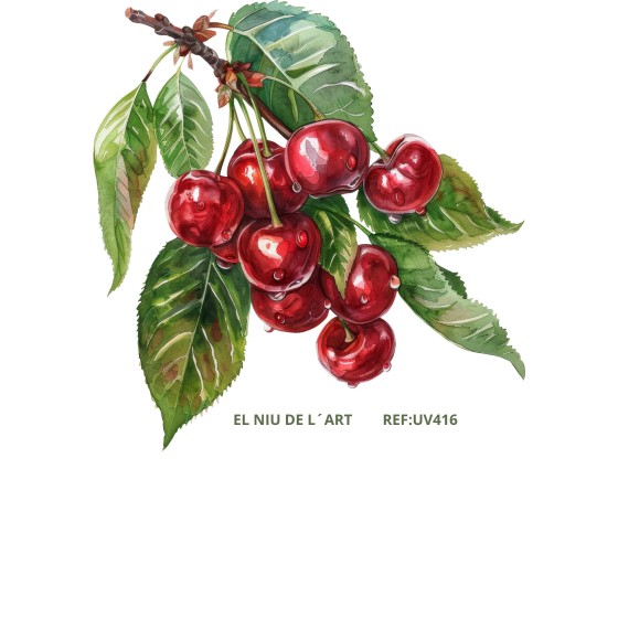 Transfer Color UV416