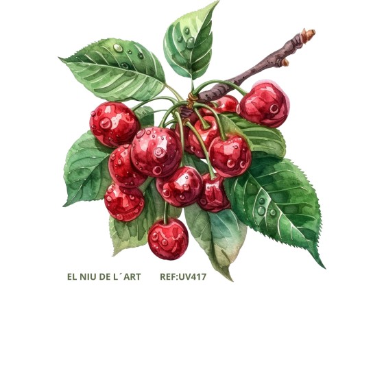 Transfer Color UV417