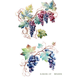 copy of transfer