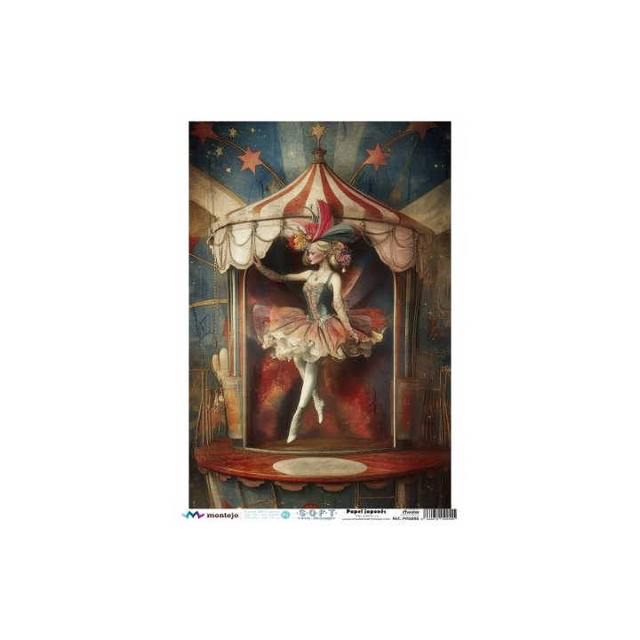 Papel De Arroz Soft A3 30x41cm SPA5620
