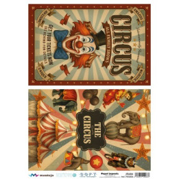 Papel De Arroz Soft A3 30x41cm SPA5620