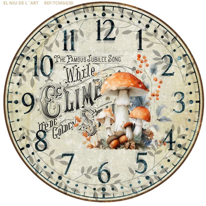 Transfer Reloj