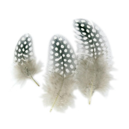 Plumas Naturales Monocromáticas