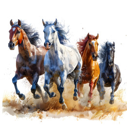 Transfer Cavalos DTF