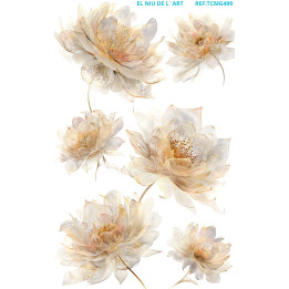 Transfer DTF Flores Blanca