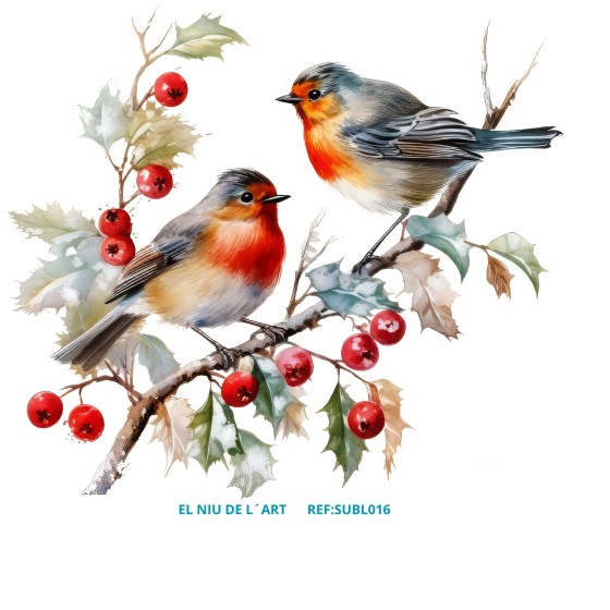 copy of Sublimación Premium...