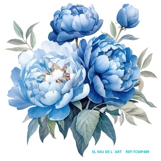 TRANSFER Color EL NIU DE L´ART P489