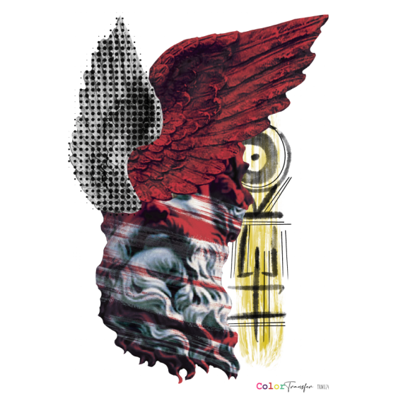 COLOR TRANSFER 27x21cm