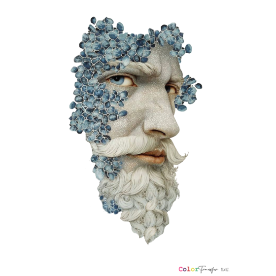 COLOR TRANSFER 27x21cm