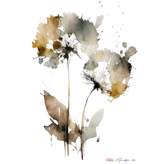 COLOR TRANSFER 27x21cm