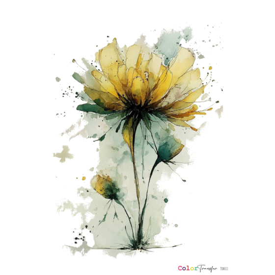 COLOR TRANSFER 27x21cm