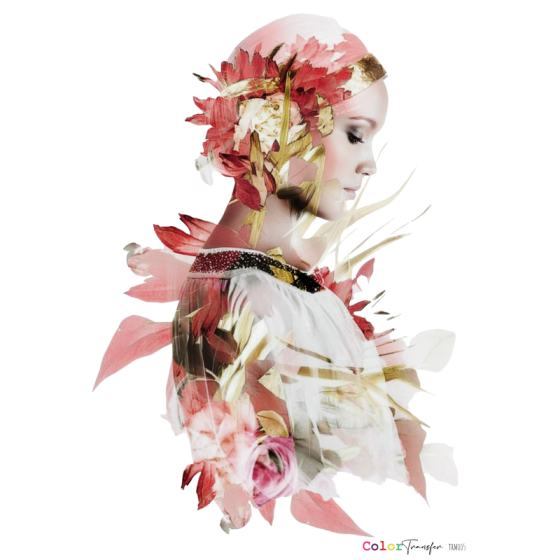 COLOR TRANSFER 27x21cm