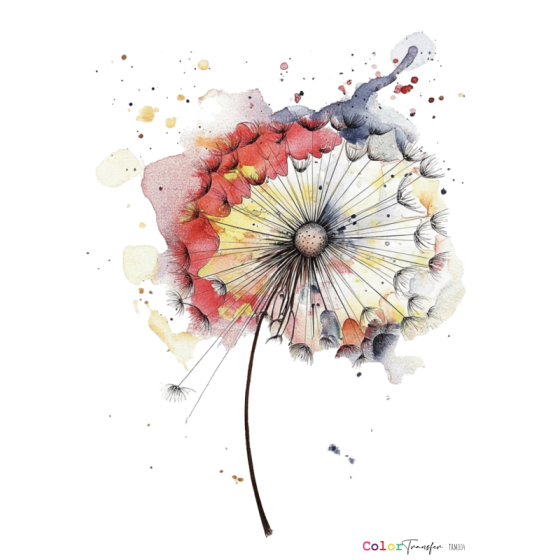 COLOR TRANSFER 27x21cm