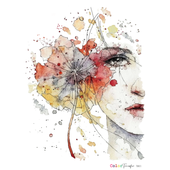 COLOR TRANSFER 27x21cm